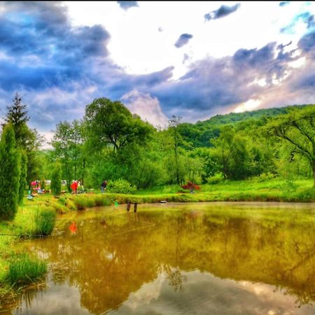 Pensiunea Cerbul - Valea Dobarlaului Kültér fotó